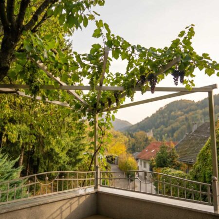 Weinlaube aus Metall